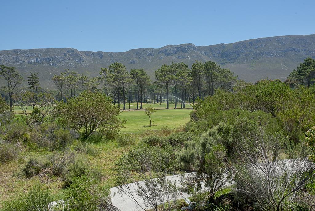 Fernkloof Fairways Villa 허머너스 외부 사진